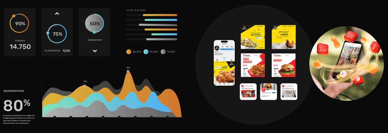 Web Design Showcase